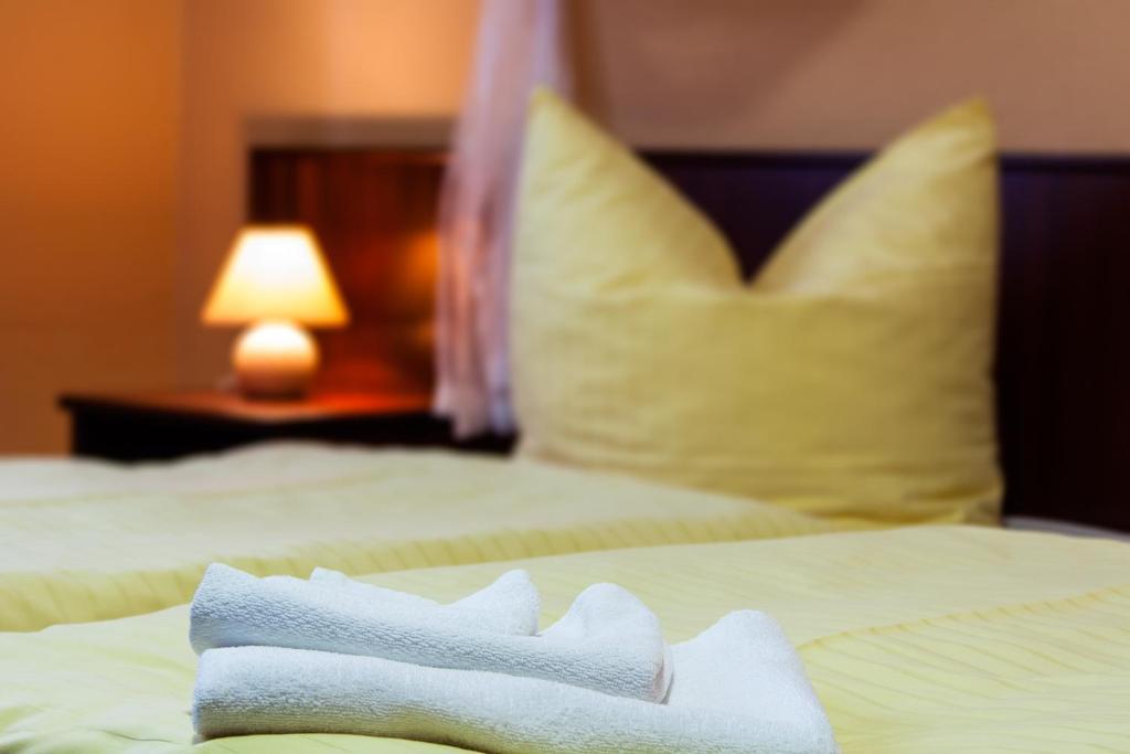 Landhotel Alt-Jocketa Pöhl Rom bilde